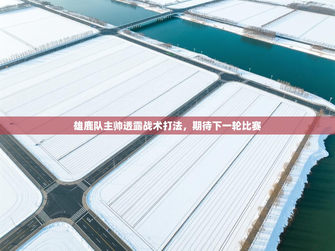 雄鹿队主帅透露战术打法，期待下一轮比赛  第2张