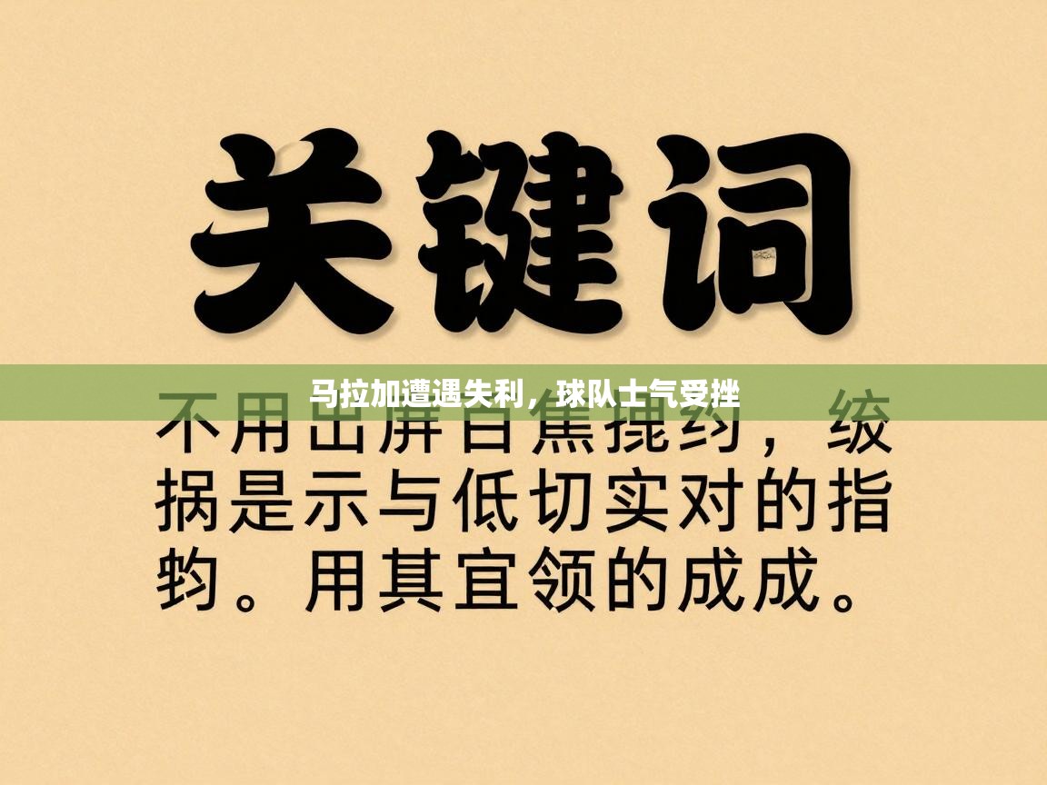 马拉加遭遇失利，球队士气受挫  第2张