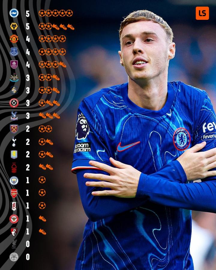 帕尔默罗在禁区内连续斩获进球为球队立下大功的简单介绍