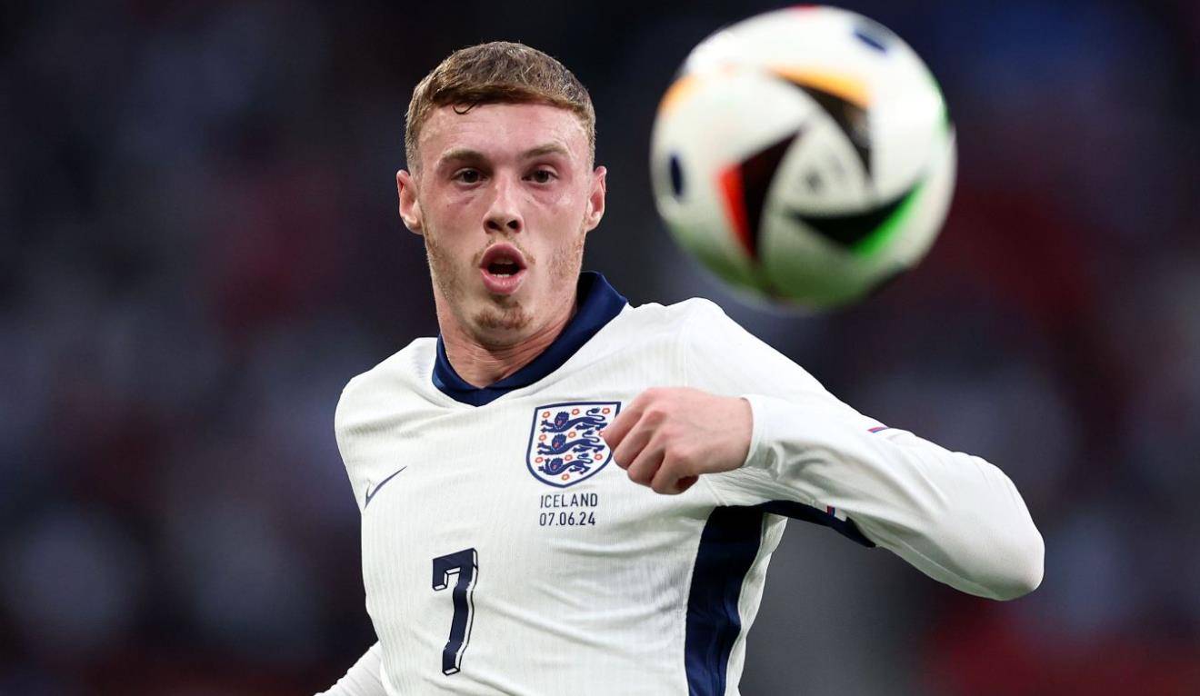 帕尔默罗在禁区内连续斩获进球为球队立下大功的简单介绍