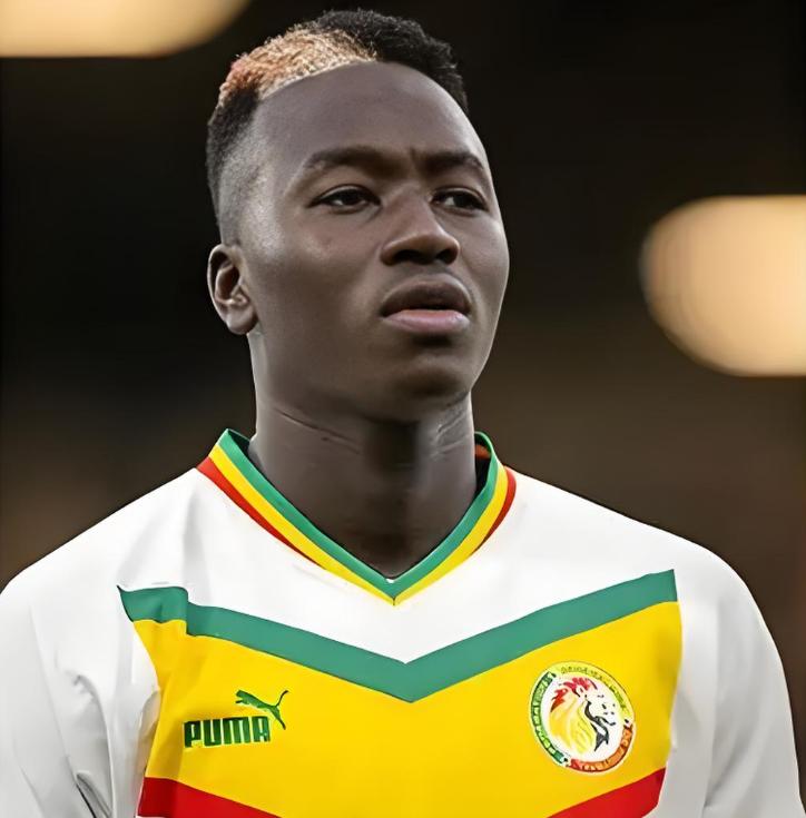 西汉姆联正式签下马赛前锋帕耶的简单介绍 西汉姆联正式签下马赛前锋帕耶的简单介绍