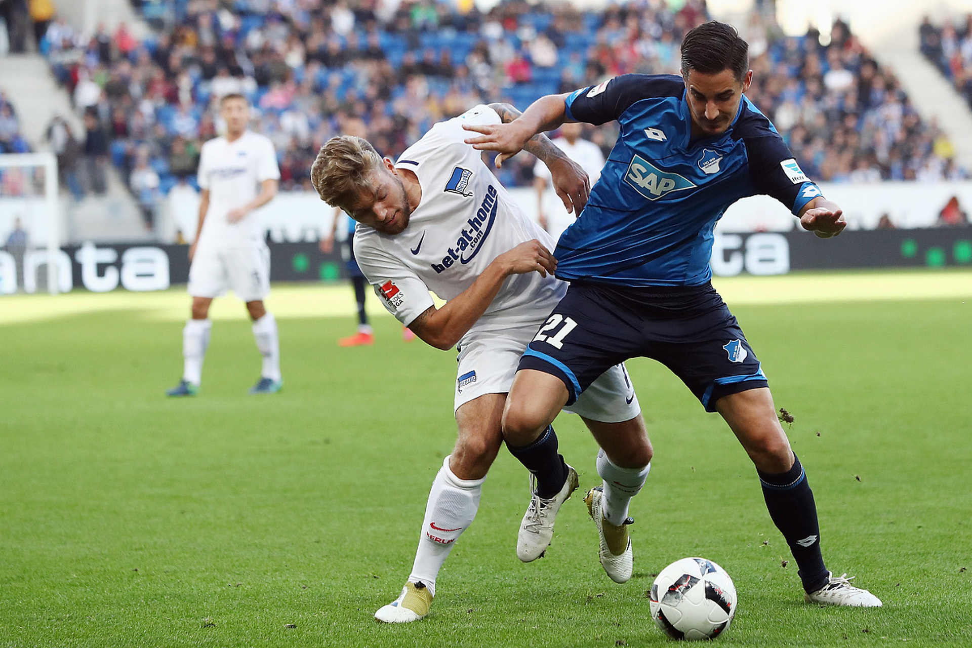 关于霍芬海姆连胜赔率飙升,成为人气球队的信息 关于霍芬海姆连胜赔率飙升,成为人气球队的信息