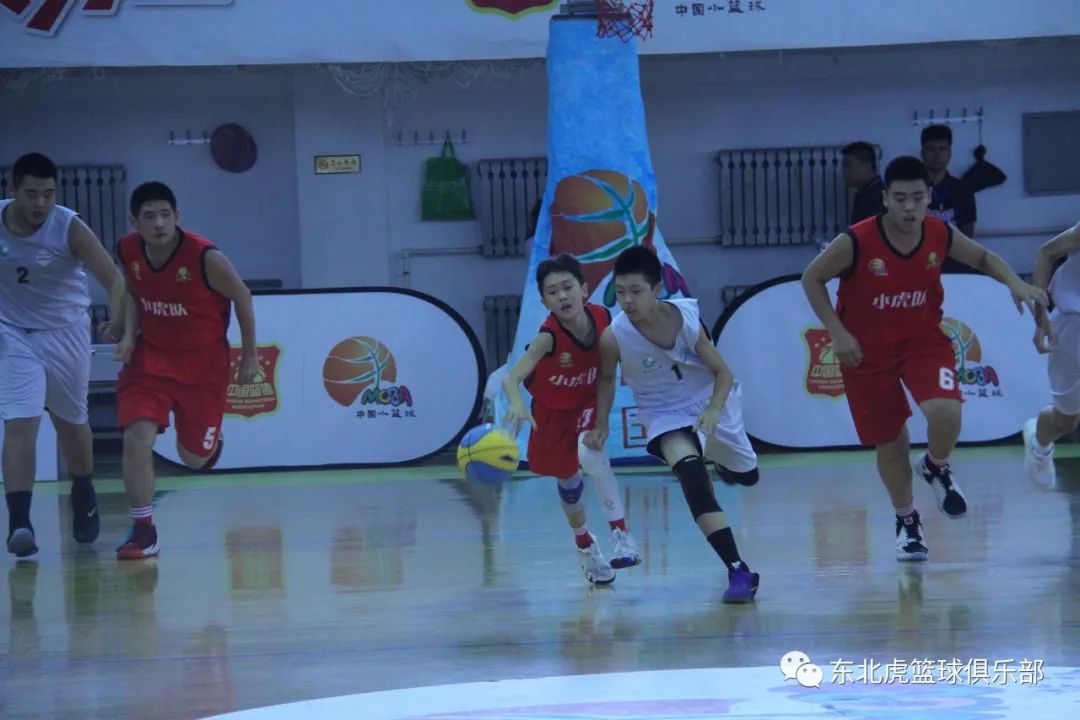 沈阳东北虎队击败对手，迎来胜利